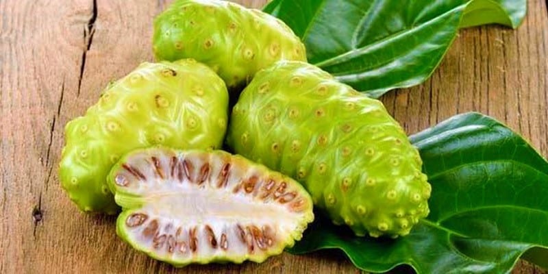 Buah Noni (Mengkudu)