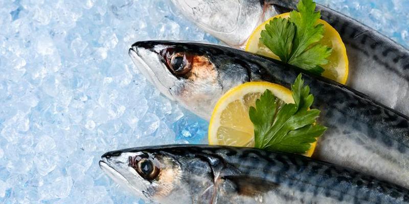 Ilustrasi Keracunan Ikan