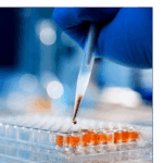 Uji in Vitro - obat asam urat alami