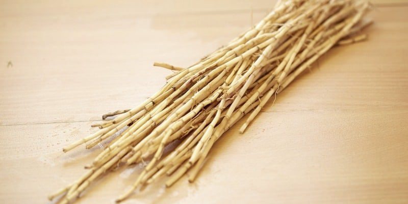 Ilustrasi Khasiat Akar Tanaman Alang-Alang