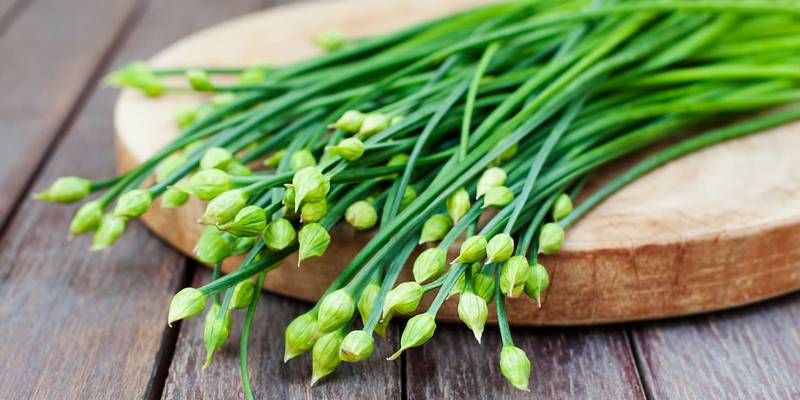 Ilustrasi Manfaat Bawang Kucai untuk Kesehatan