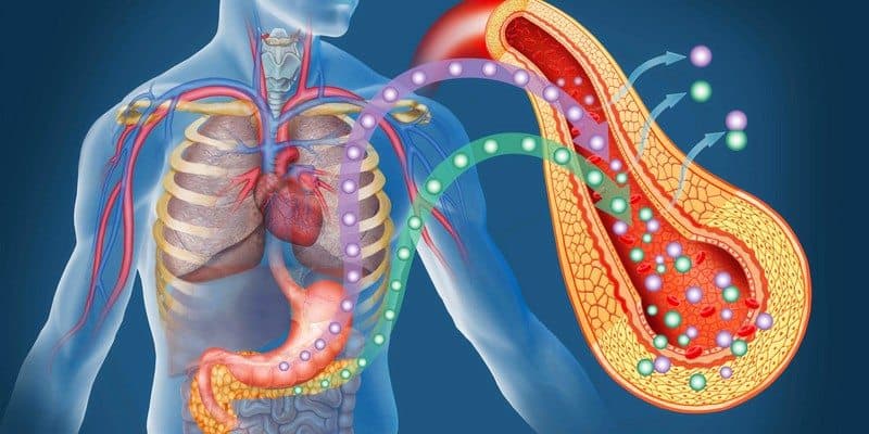 gambar pankreas - pankreatitis - sakit perut bagian atas - fungsi pankreas