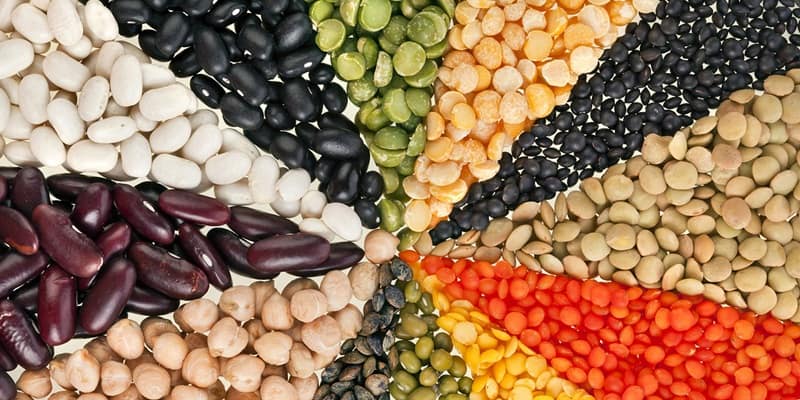 Makanan Penyembuh Wasir