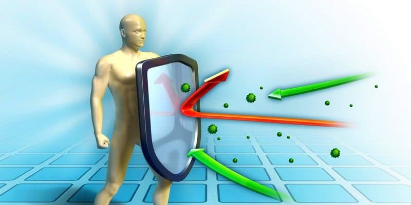 daun kemangi - manfaat kemangi - manfaat daun kemangi untuk kesehatan