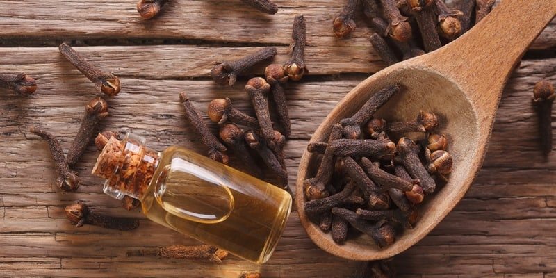 Minyak Cengkeh - Manfaat Cengkeh - Mengatasi Sakit Gigi - Mengatasi Gusi Bengkak