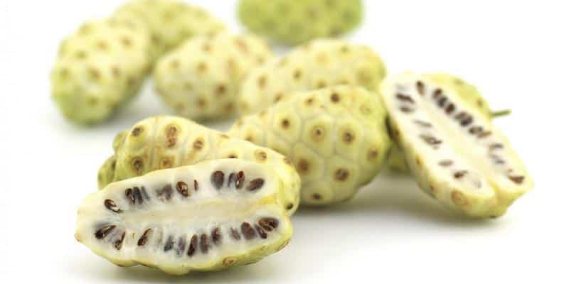 noni juice - khasiat buah bit - cara mengolah buah bit - efek samping buah bit