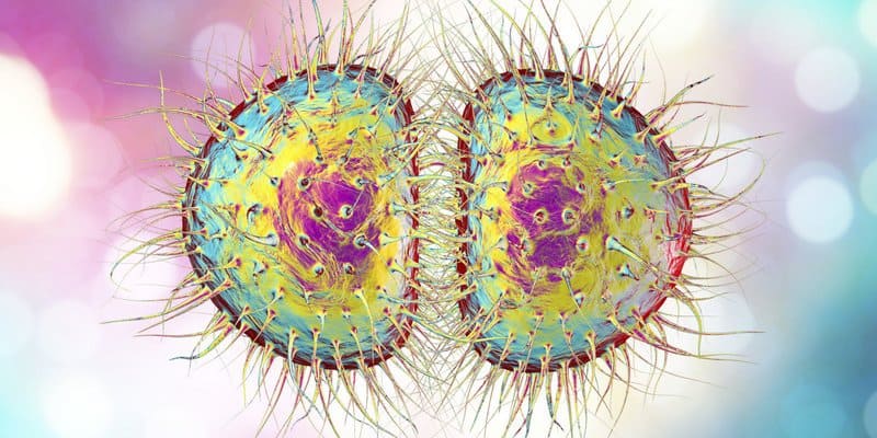 penyakit gonore - penyebab gonore - gejala gonore - pengobatan gonore - gonore pada wanita