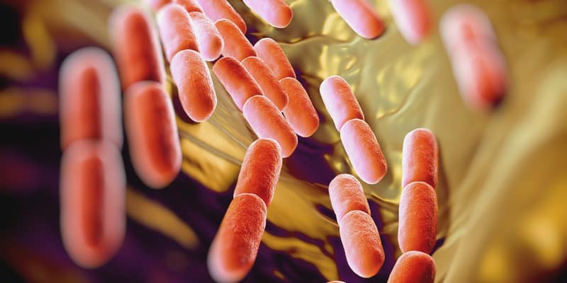 penyakit disentri - gejala disentri - penyebab disentri - disentri pada bayi