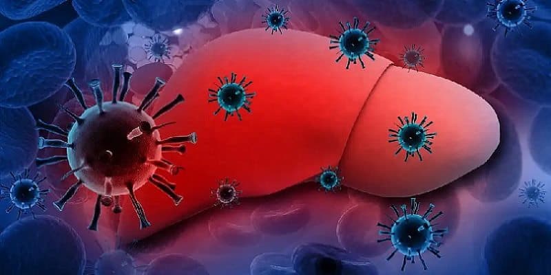 virus penyakit hepatitis D