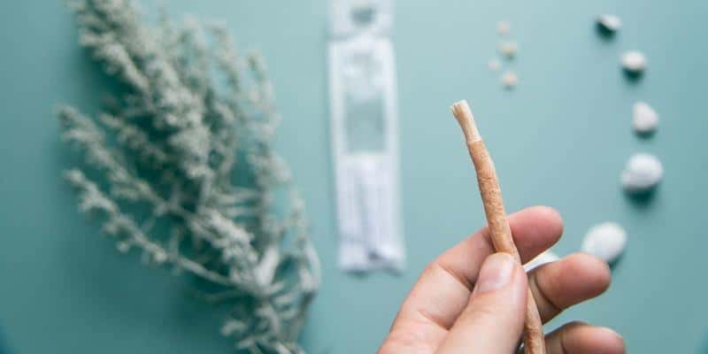 manfaat siwak - kayu siwak - sikat gigi