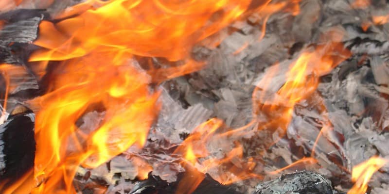 penyebab kanker - pemicu kanker - mencegah kanker