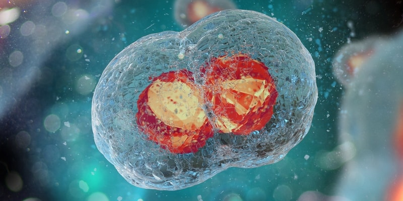 sel kanker - ciri-ciri kanker - jenis kanker