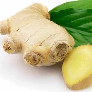 herbal pelangsing - herbal diet - melangsingkan badan