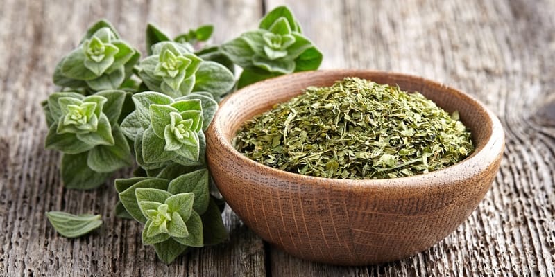 jenis herbal pencegah kanker - makanan anti kanker - pencegahan kanker