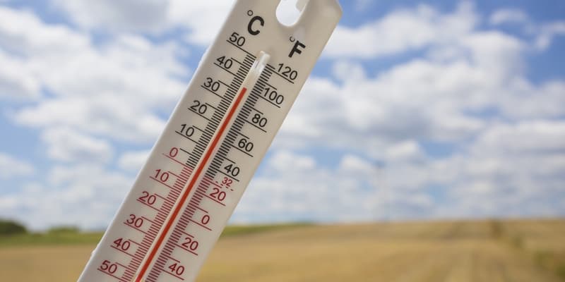 penyakit panu - penyebab panu - mengobati panu - gejala panu