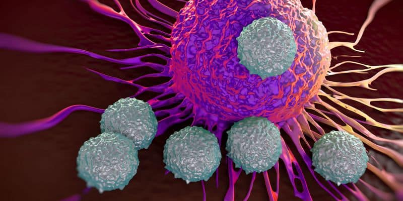 cara mencegah kanker - cara pencegahan kanker - sistem imun