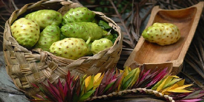 efek antibiotik - resistensi antibiotik - bahaya antibiotik