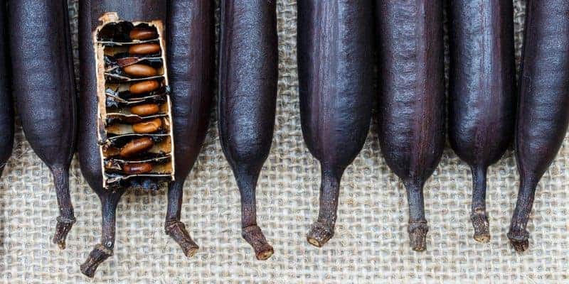 asam trengguli untuk resep herbal sariawan