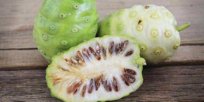 buah noni, bahan baku noni juice