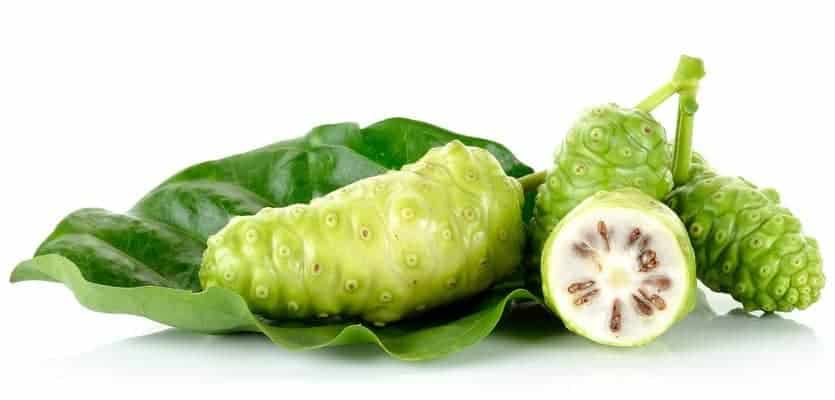 noni juice untuk batuk berdahak
