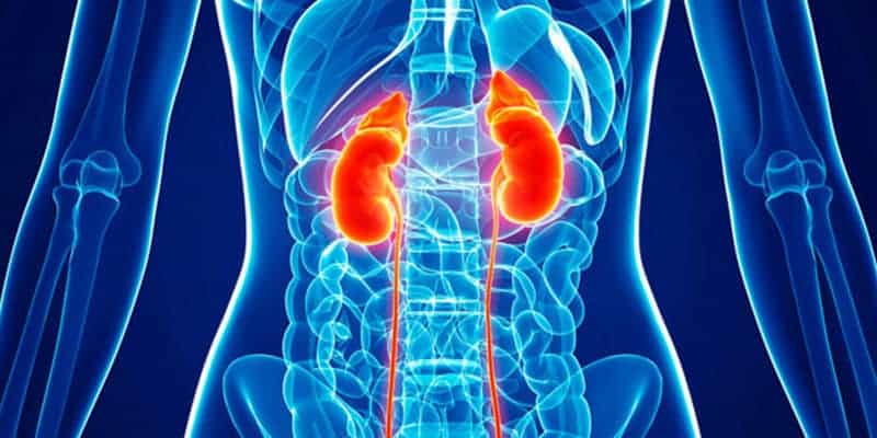 Penyebab gagal ginjal