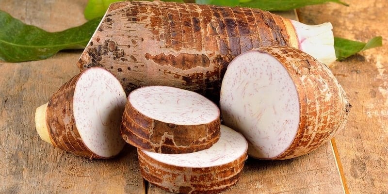 umbi talas untuk buang air besar berdarah