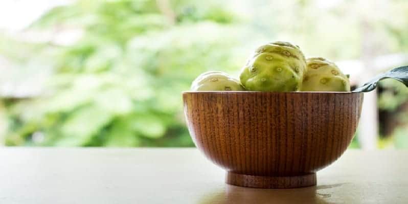 buah noni untuk ramuan herbal sariawan