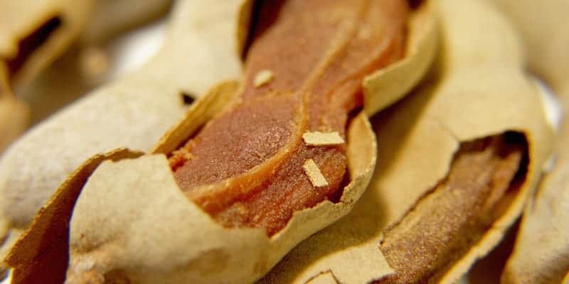 asam jawa untuk resep herbal biduran