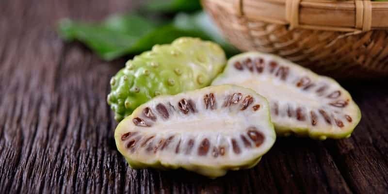 noni juice untuk ramuan herbal bisul di kelopak mata