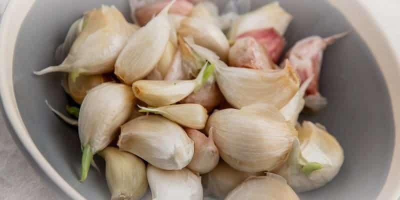 bawang putih, tanaman herbal untuk darah tinggi