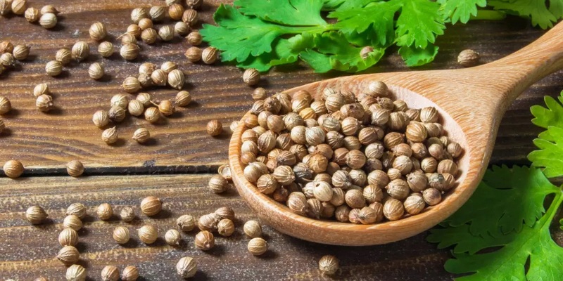 Biji Ketumbar Obat Herbal Kaki Bengkak