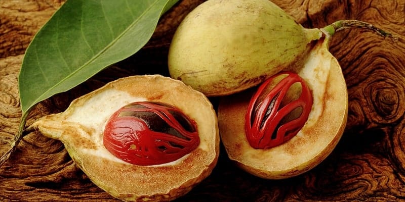 buah pala untuk resep herbal diare