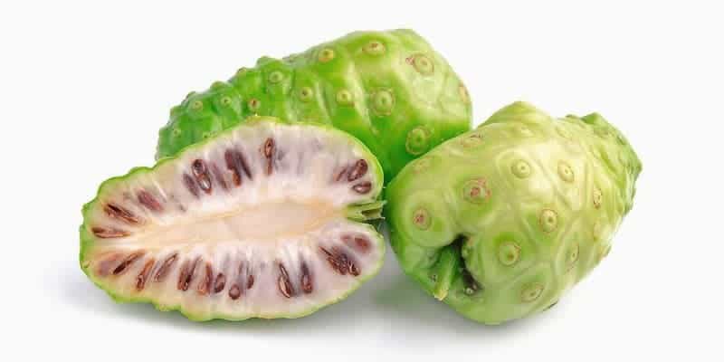 noni juice untuk ramuan herbal darah tinggi