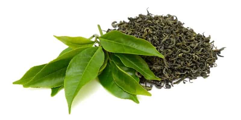 daun teh untuk resep herbal karang gigi
