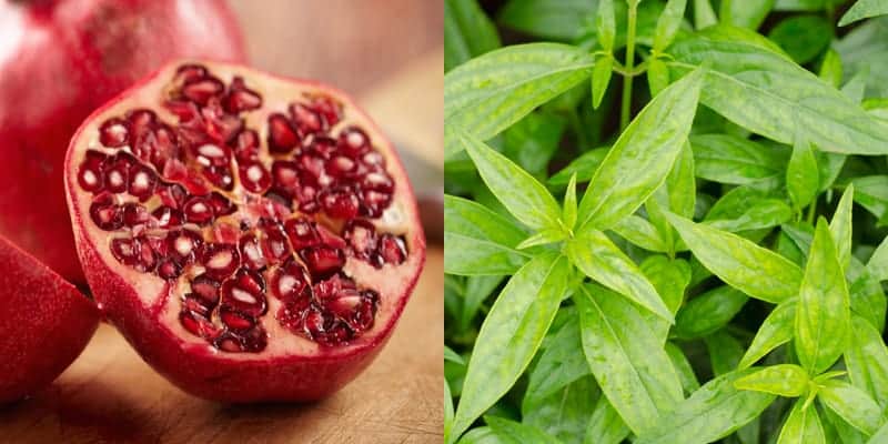 delima & sambiloto untuk ramuan herbal keputihan