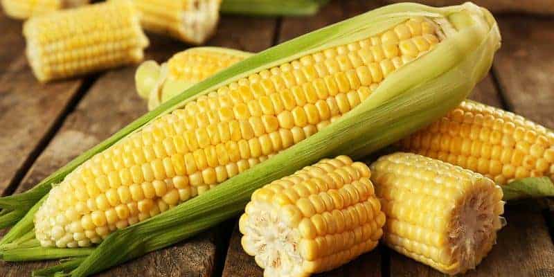 jagung manis untuk ramuan herbal anemia