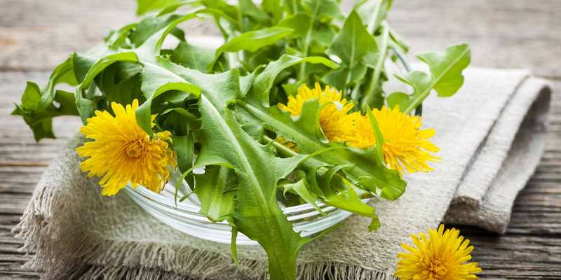 jombang untuk resep herbal kanker serviks