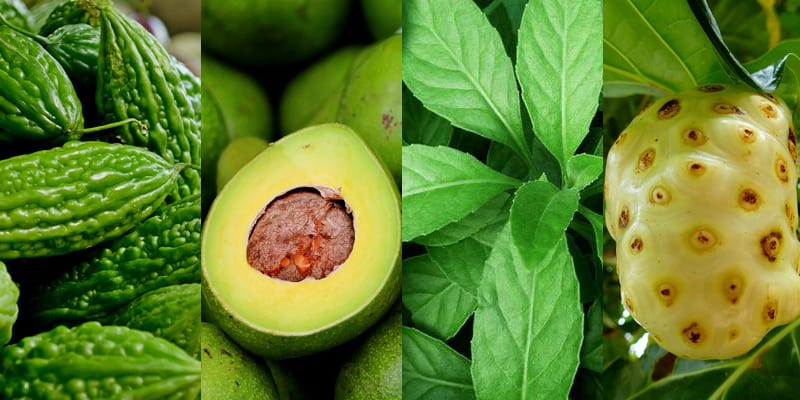 obat diabetes herbal