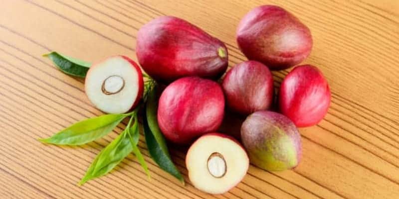 buah mahkota dewa untuk ramuan herbal psoriasis