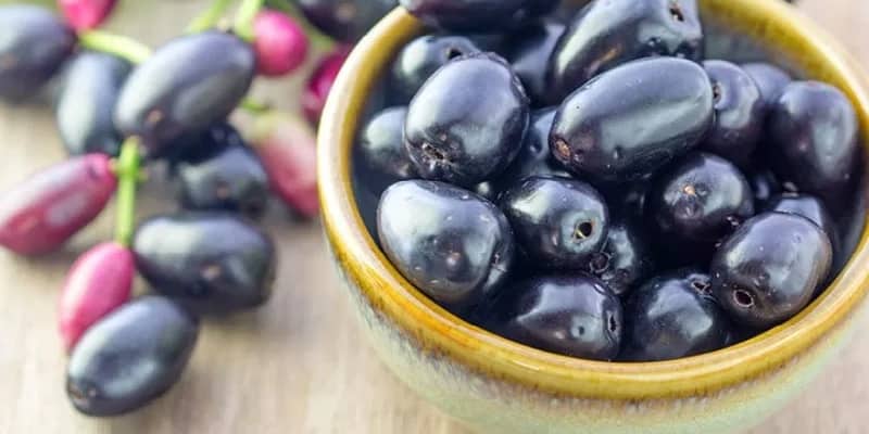 buah jamblang untuk ramuan herbal asma