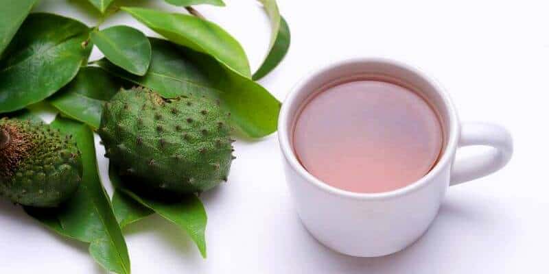 rebusan daun sirsak untuk kanker serviks