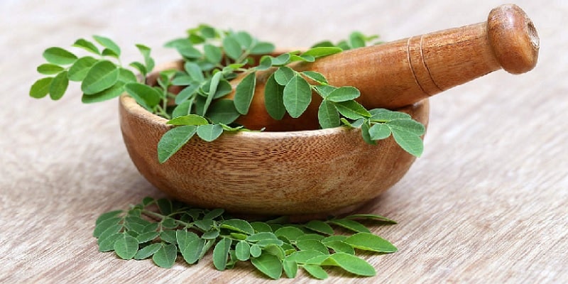 cara mengolah daun kelor untuk kanker