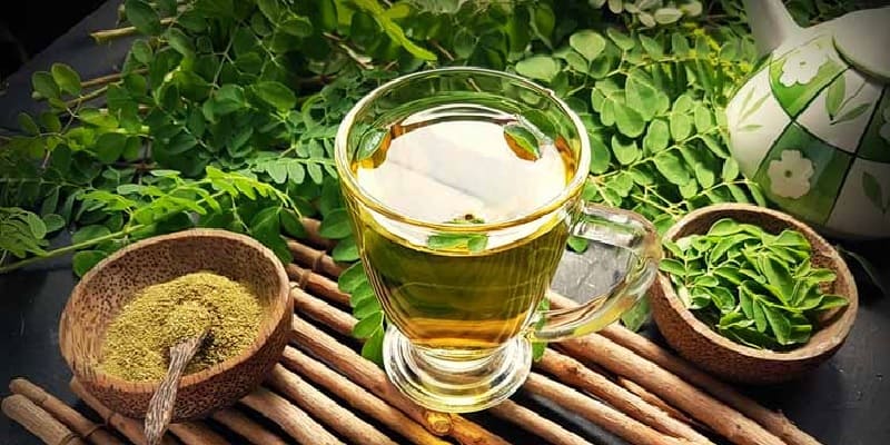 daun kelor untuk obat kanker