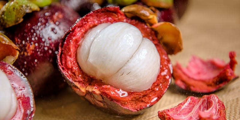 buah manggis untuk kanker payudara