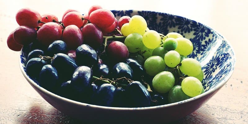 buah anggur untuk penyembuh kanker