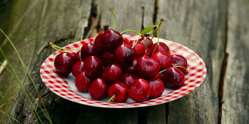 buah ceri untuk mengobati kanker