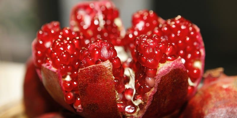 buah delima untuk penyembuh kanker