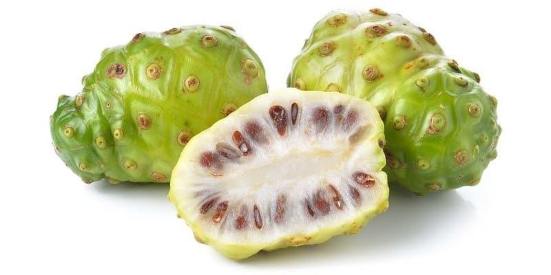 buah noni