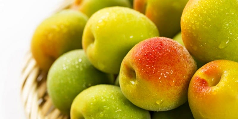 buah plum oriental