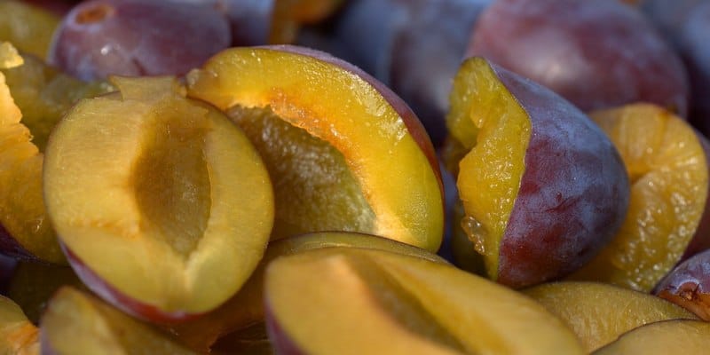 cara makan buah plum